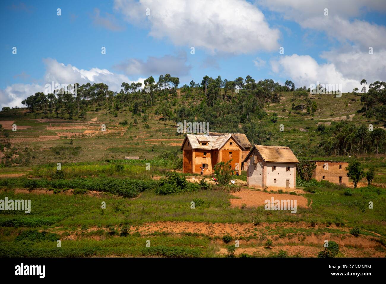The homes of locals on the island of Madagascar Stock Photo Alamy