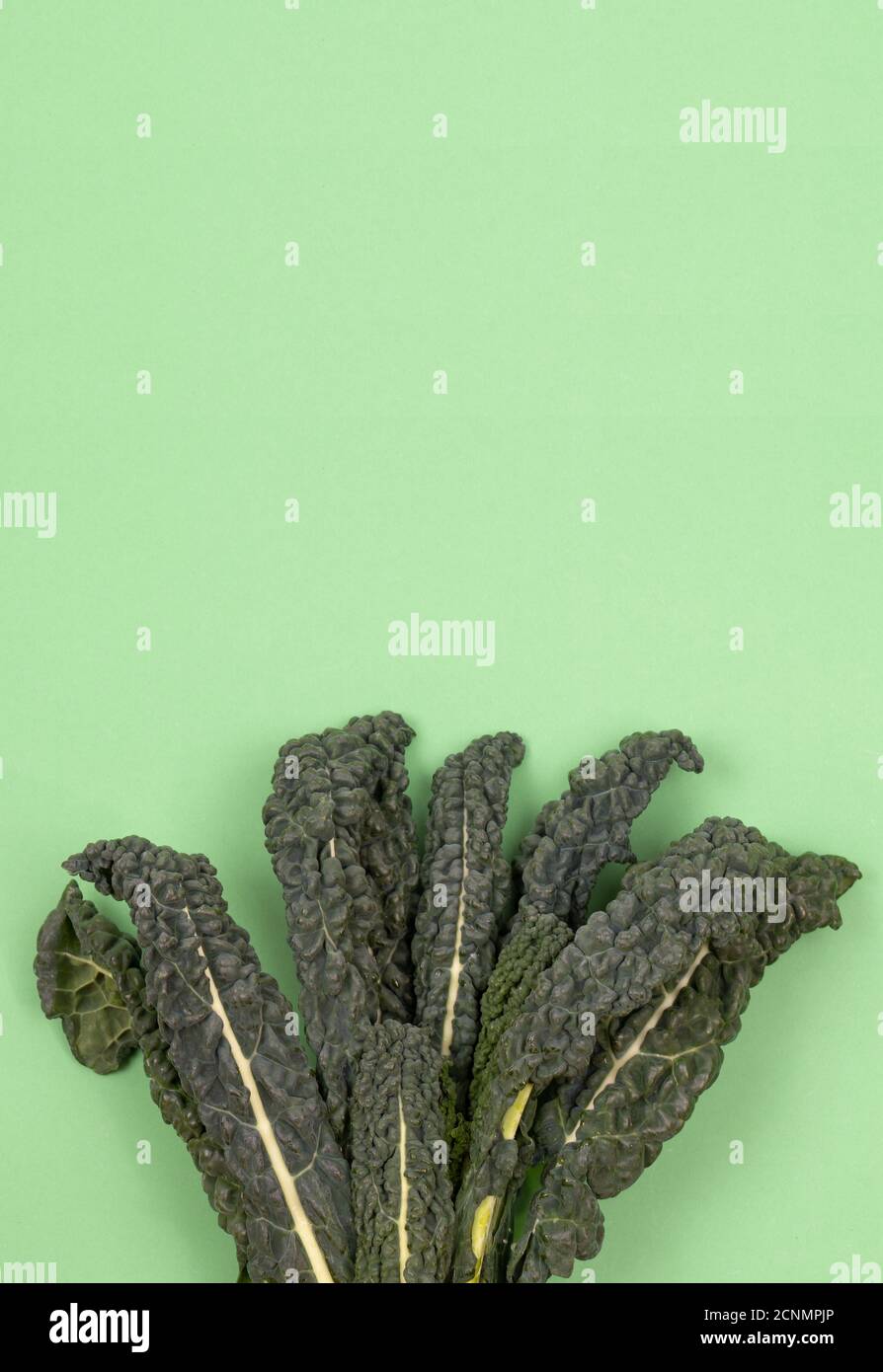 Fresh green organic raw kale, Italian kale, Tuscan kale, lacinato, dinosaur kale, leaves on green background. Top view, copy space Stock Photo