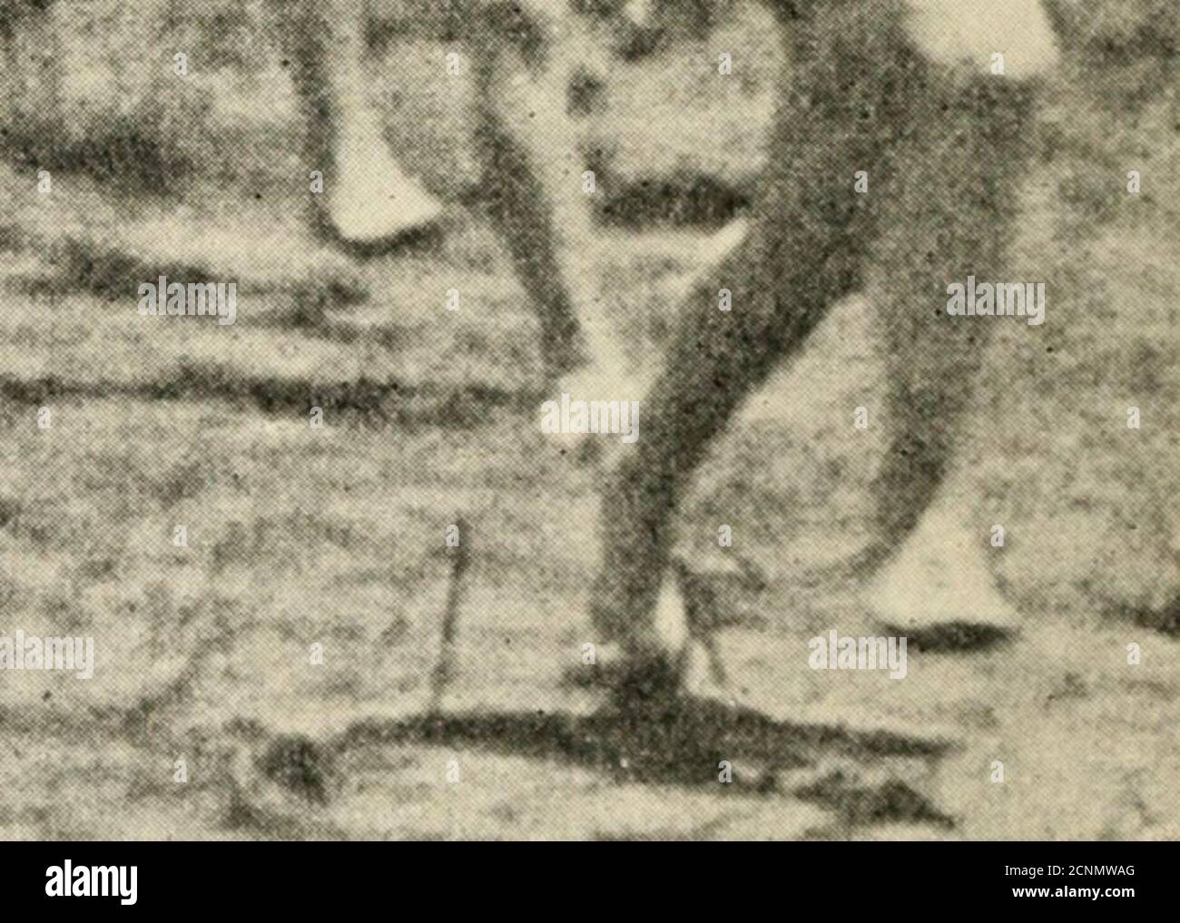 . Tom Slade on the river Stock Photo Alamy