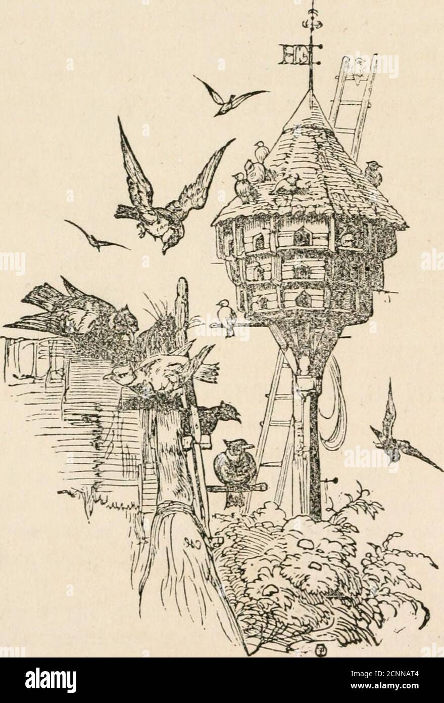 Finikin And His Gold Pippin An Original Tale Amtowards Him Oh Cried The Rich Man Make Haste My Dear Good Lad And If You Save Me This Mill And All