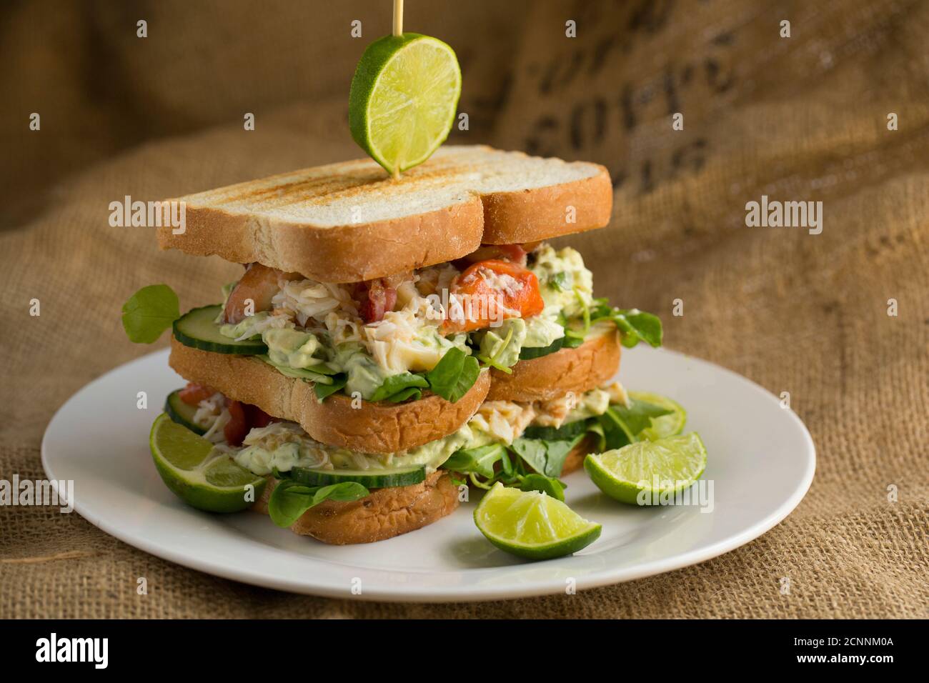 A crab sandwich on toasted bread made from a brown crab, Cancer pagurus, dressed with mayonnaise, lime, dill, avocado, salad and crispy smoked bacon. Stock Photo