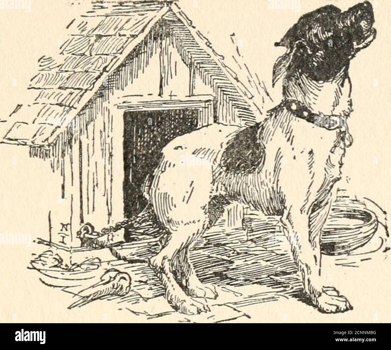 The key to Betsy's heart . ould smell the outside air,and there he whined  pitifully, until Mrs. Trimblefelt a tear on her own cheek. He does take on  awful. Try and