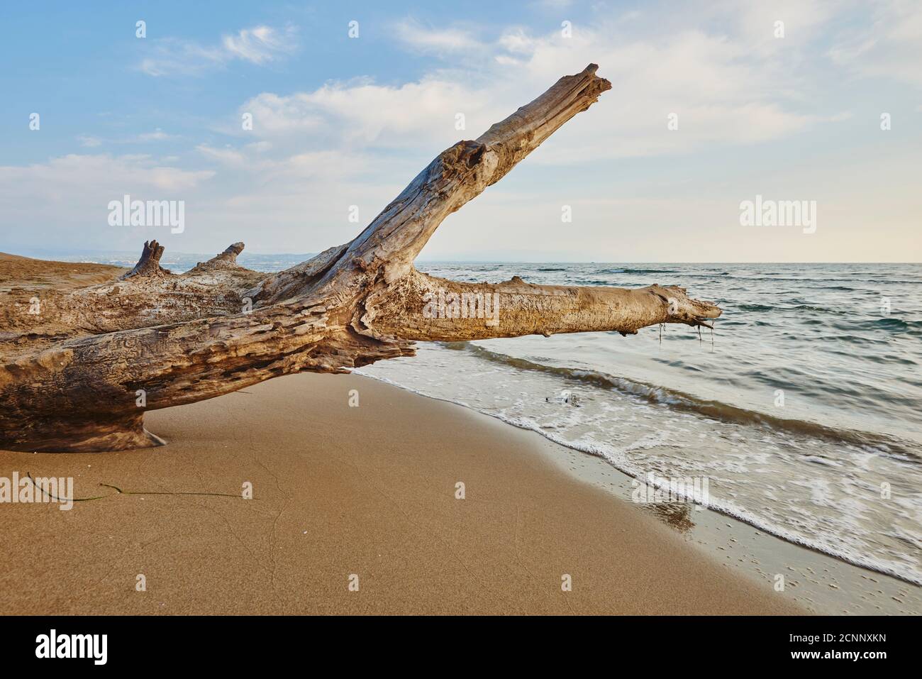 Landscape, beach, Ebro Delta, Tarragona Province, Catalonia, Northern Spain, Spain, Europe Stock Photo