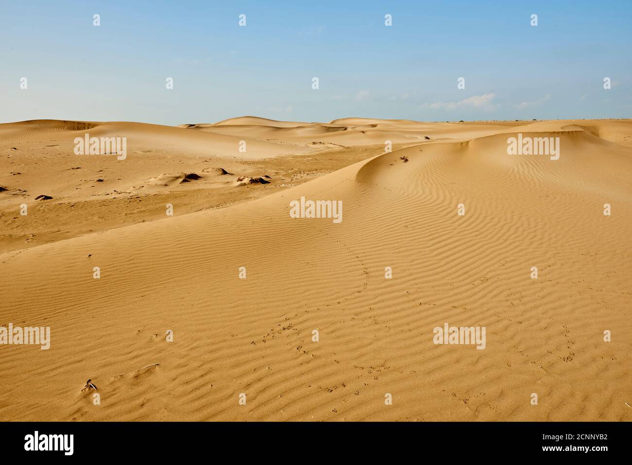 Landscape, dunes, sandy beach, Ebro Delta, Tarragona Province, Catalonia, Northern Spain, Spain, Europe Stock Photo