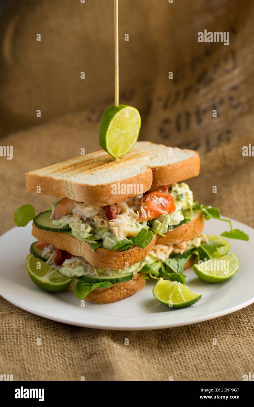 A crab sandwich on toasted bread made from a brown crab, Cancer pagurus, dressed with mayonnaise, lime, dill, avocado, salad and crispy smoked bacon. Stock Photo