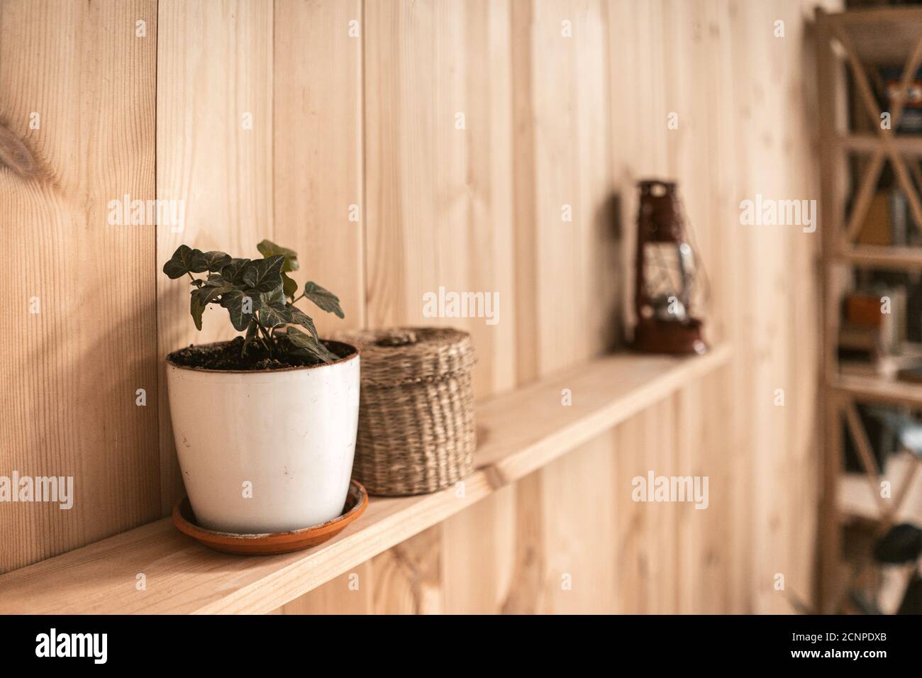 White pot with ivy plant and wicker box on wooden shelf. Retro lantern on blurred background. Wooden wallpaper panels. High quality photo Stock Photo