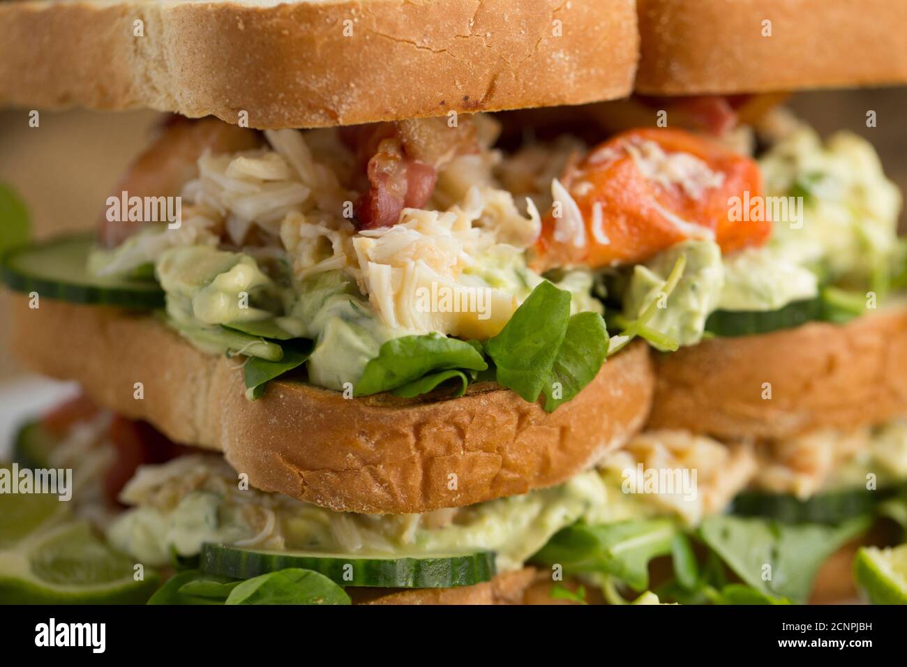 A crab sandwich on toasted bread made from a brown crab, Cancer pagurus, dressed with mayonnaise, lime, dill, avocado, salad and crispy smoked bacon. Stock Photo