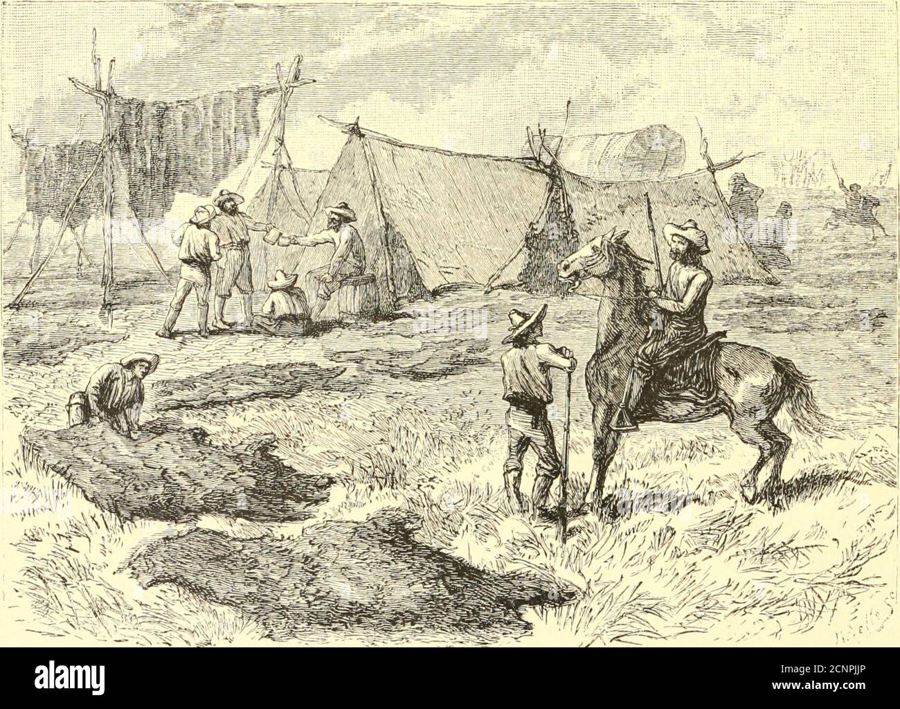 The young Nimrods in North America : a book for boys . VDLTDRE IN A M1KAGE.  222 THE YOUNG K1MKODS. CHAPTER XVIII. MORE BUFFALO-HUNTING.—ENCOUNTER WITH  INDIANS. r I^IIE afternoon was well