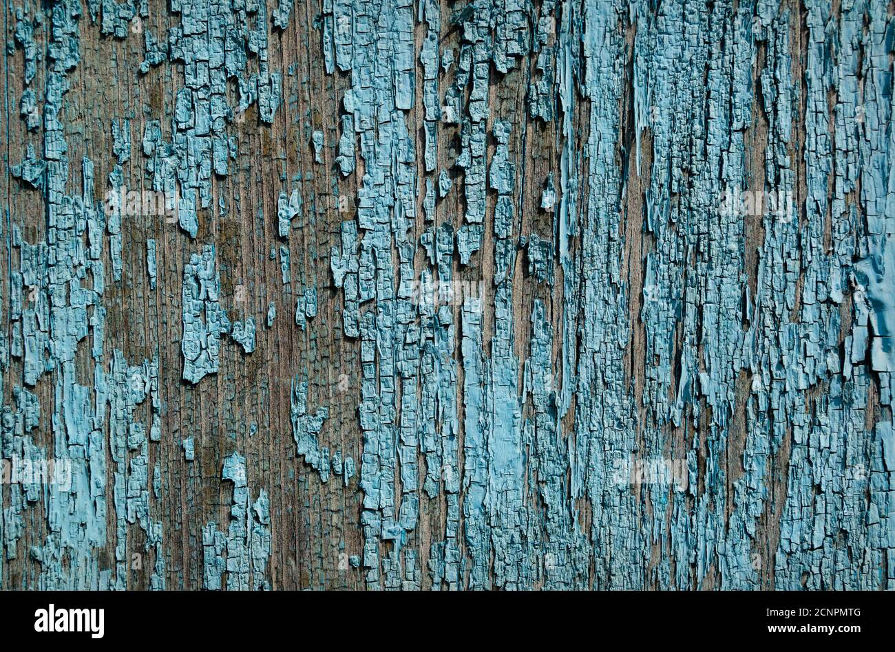Old painted blue wood wall - texture or background Stock Photo