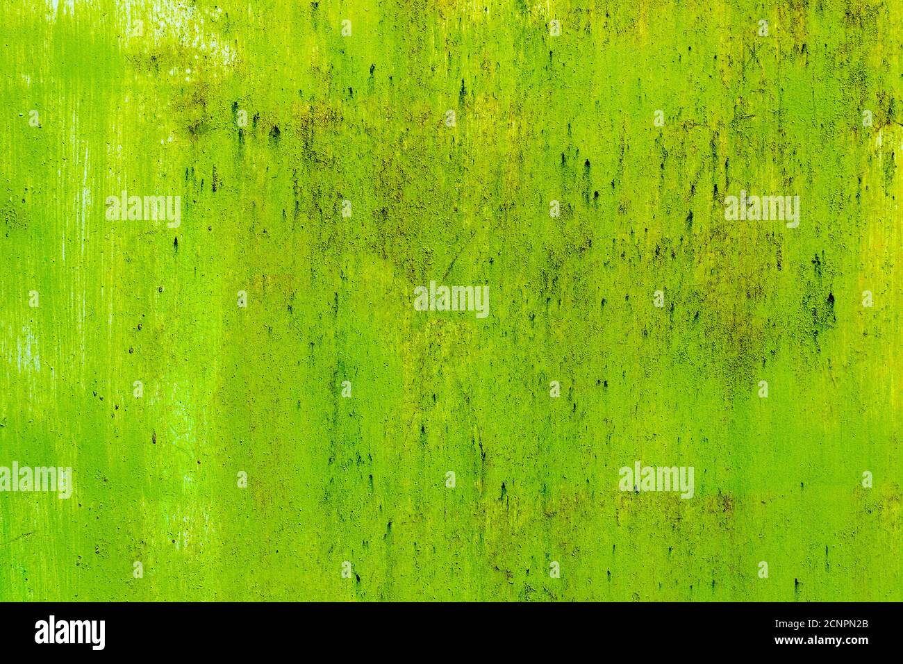 Green concrete painted retro wall texture background Stock Photo