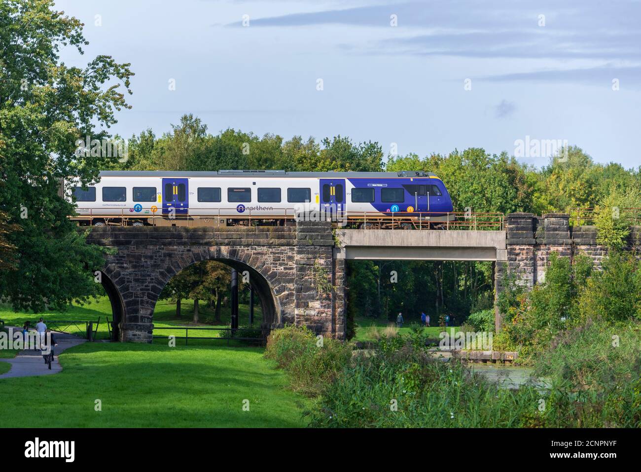A Northern Rail diesel train crosses the Sankey Valley viaduct over the disused canal in the linaer park in the West of Warrington. Stock Photo