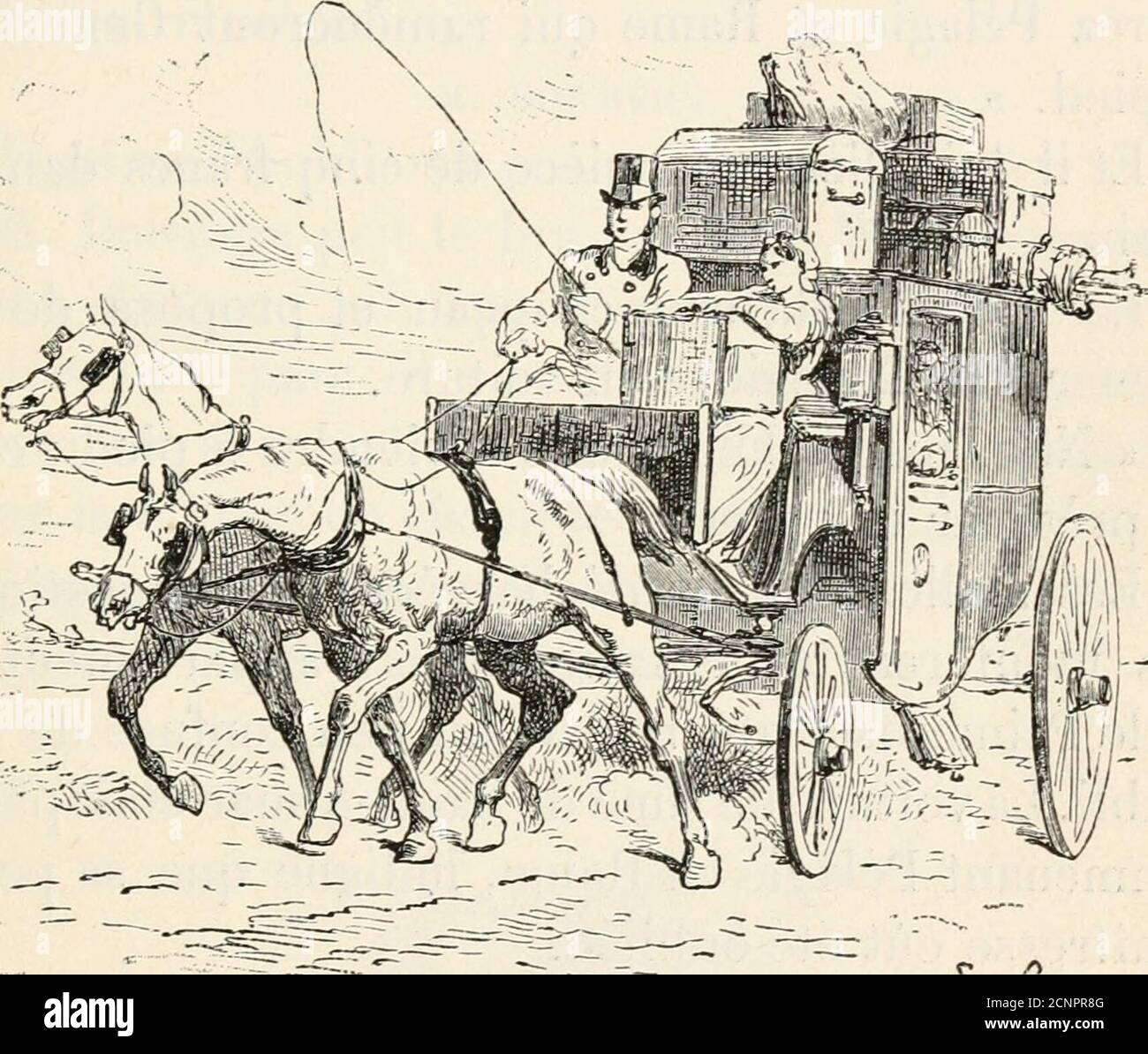 Beau Dieu High Resolution Stock Photography And Images Alamy