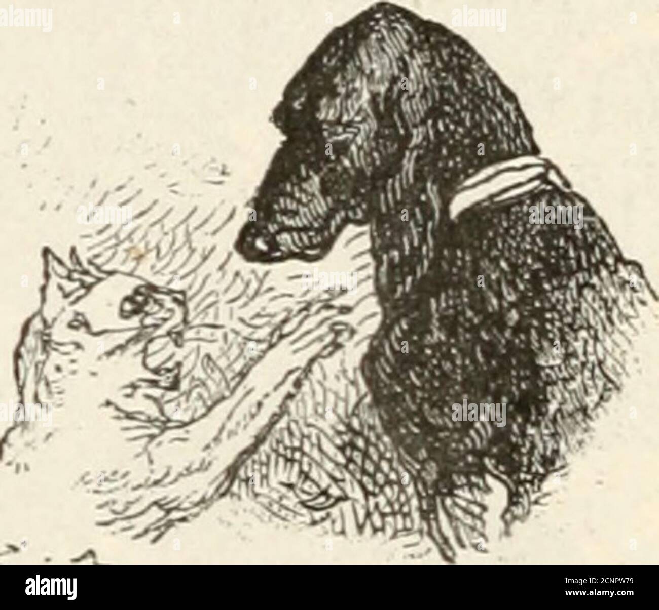 Faire son nid hires stock photography and images Alamy