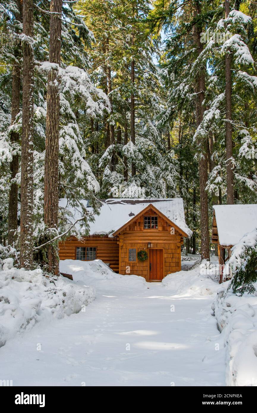 A cabin in the snow near Crystal Mountain and Ashford, Washington at