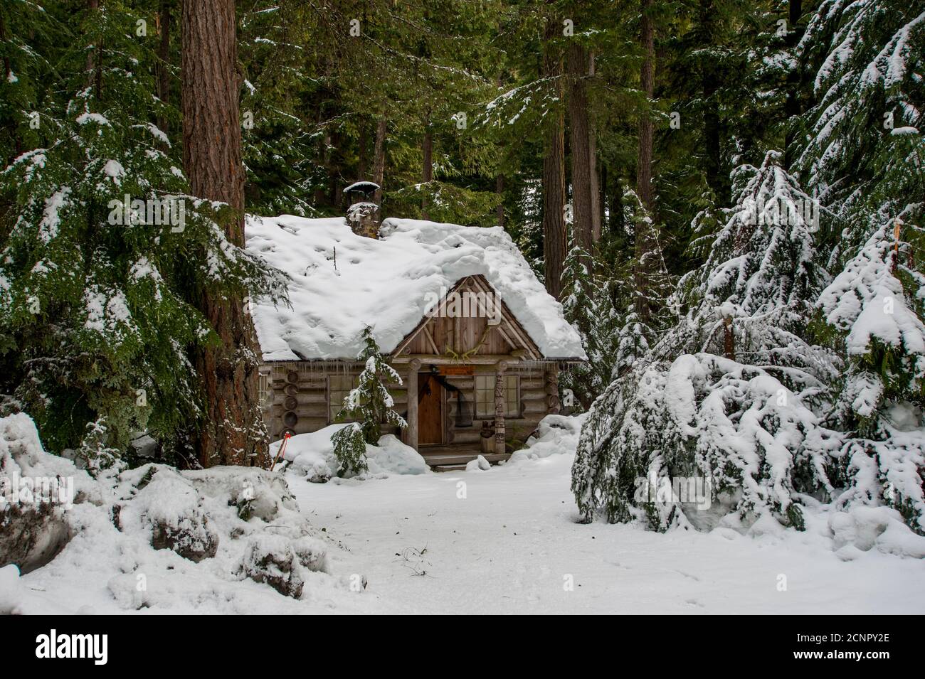 A cabin in the snow near Crystal Mountain and Ashford, Washington at