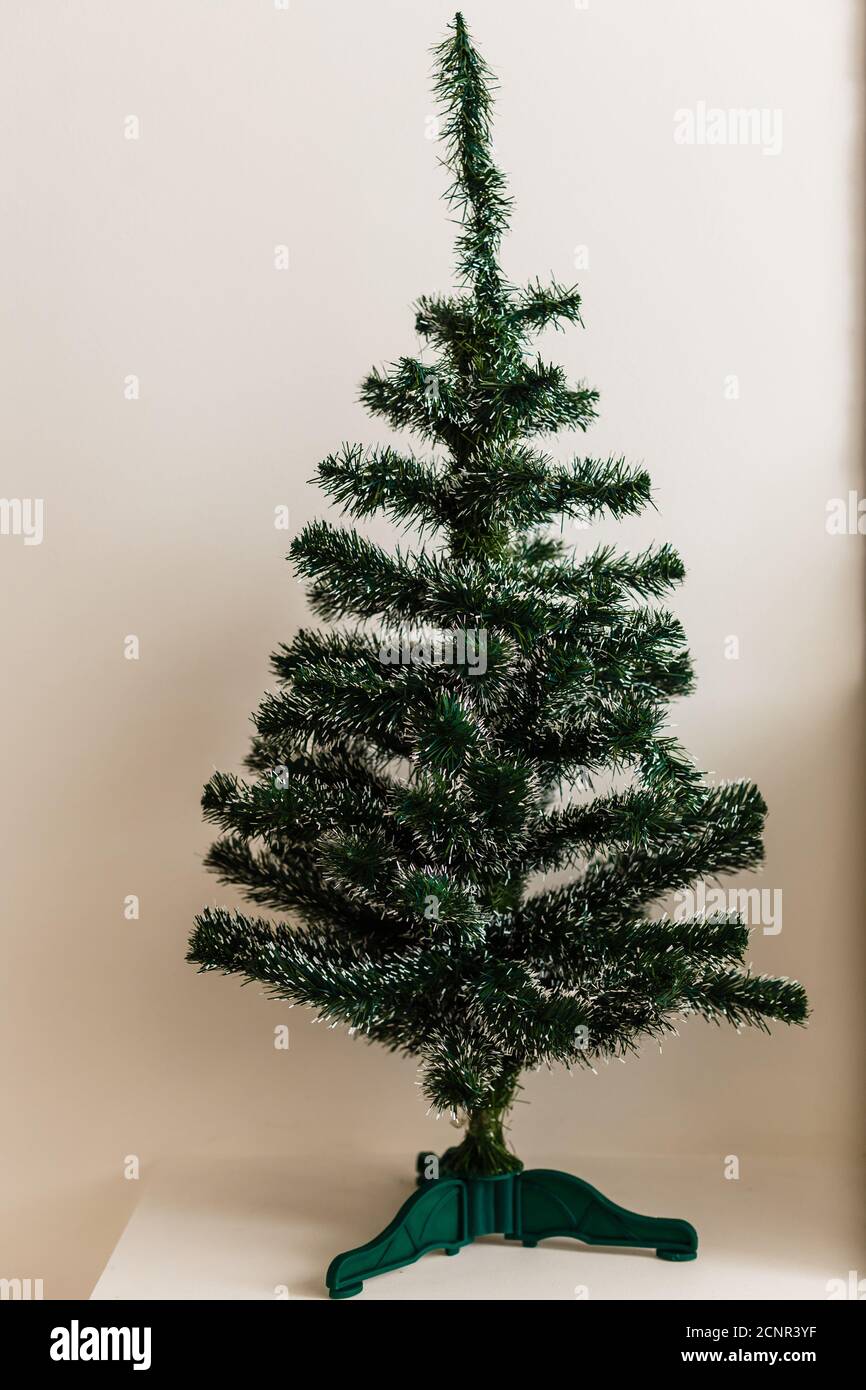 Christmas tree dried up after the Holiday Season Stock Photo Alamy