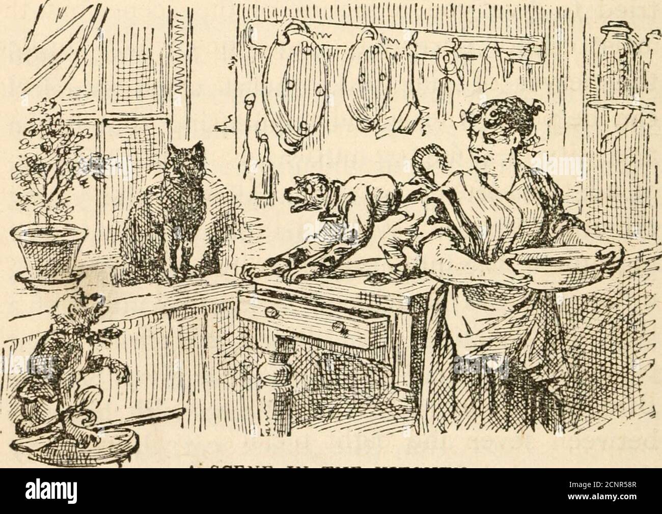 . Science in story. Sammy Tubbs, the boy doctor, and "Sponsie," the