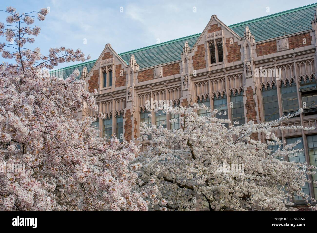 Washington state university campus hires stock photography and images
