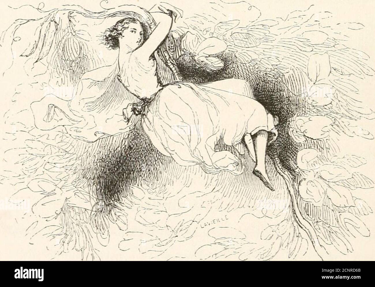 . Tresor Des Feves Et Fleur Des Pois . uant à moi, je ne fais pasplus de cas de ton royaume et de t^ main que dun poischiche. — Si vous pouviez me dire en quel trou le roi des Gril-lons sest caché, sécria Trésor des Fèves furieux, je lau-rois bientôt déterré avec ma serfouette, et je lamèneroispieds et poings liés, princesse, à votre discrétion. — Je .52 TRÉSOR DES FÈVES comprends cependant son désespoir, ajouta-t-il en laissanttomber son front sur sa main. Mais ne pensez-vous pasquil faut que je vous accompagne jusque dans vos États,pour vous mettre à labri de ses poursuites ? — Il le faudroi Stock Photo