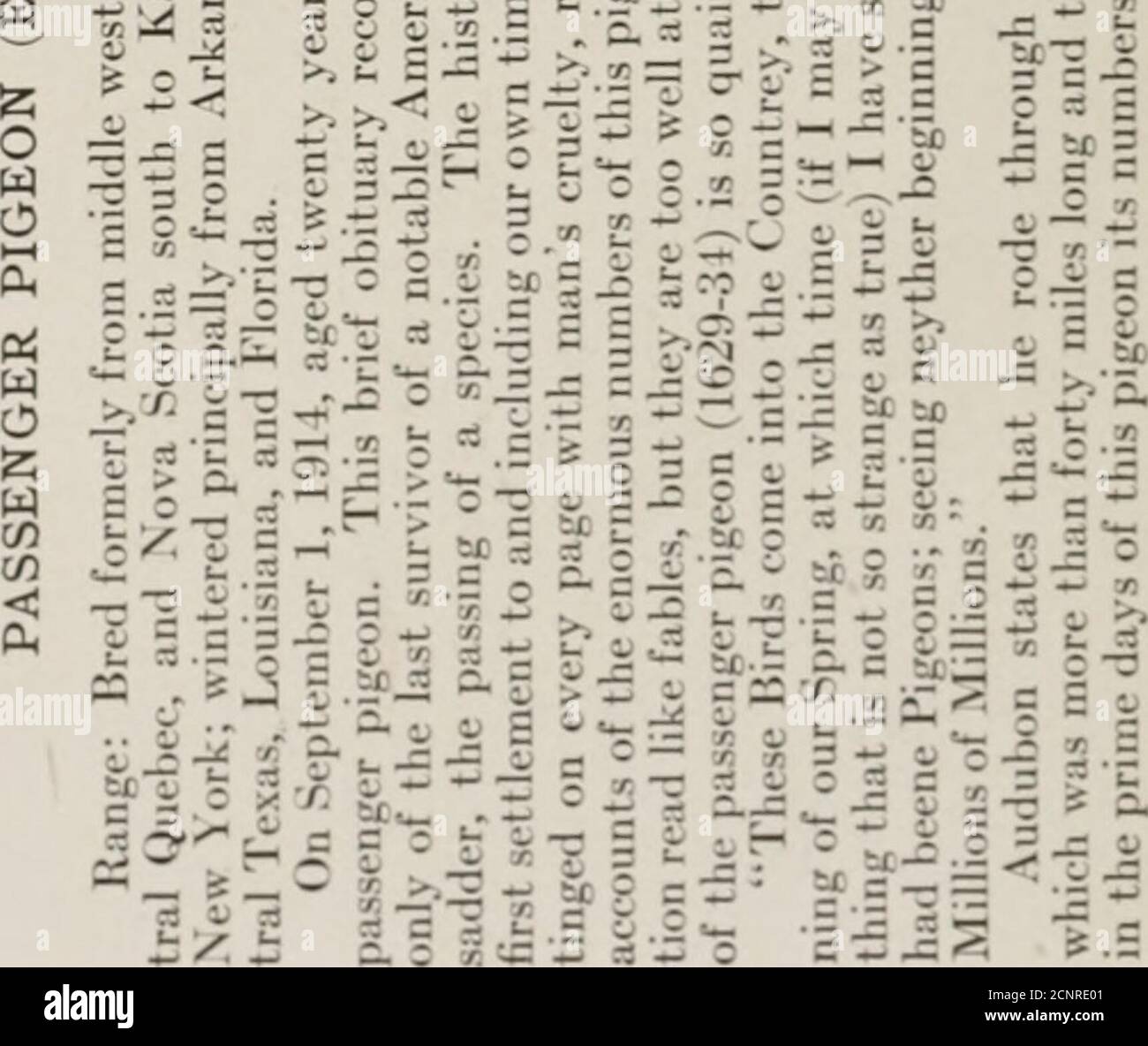 . The book of birds; common birds of town and country and American game birds . gj 3 ■A 3 :3— 3 Crt H •-- 2n  o CO o ^ 3 a c3 •-® op 1 X t- 4/ t. £- ^ 3 -S -2 d S; IJ S X- S &gt;- ii 5 ^ ti S^ X = n C X ^ tl :i C -^ O 5^ -   - ^b ^ o T i: Bf 3 ^ -^ r ^ X -2 i!^^ 3 ^ 3 O. g s j= ^ . ^ 3 = r S. y X 3 y 12 .5 ? &gt; 3 3 •- fi o X J :^  3--5 i 1^ ^ -^ Sc3 o03j;-r ^ :; t^ ^^fe2i:i/— 39 b .3 iC— -^ H I = rf= X 5 -^ • ^t- v: C C o=:o I & S J-2 3 r^ o ^^ -C w — y c. c c ^.= c oj ti; c !:: .^ 3 5c.S % - IS--fills S^-eI e: ;; ■— -r is ^ X 0 u 1 ^ tTti; 5iB 1 X XX  S X s I.I 3 m 3 ^ ■ X .3 ■^ - 3 i Stock Photo