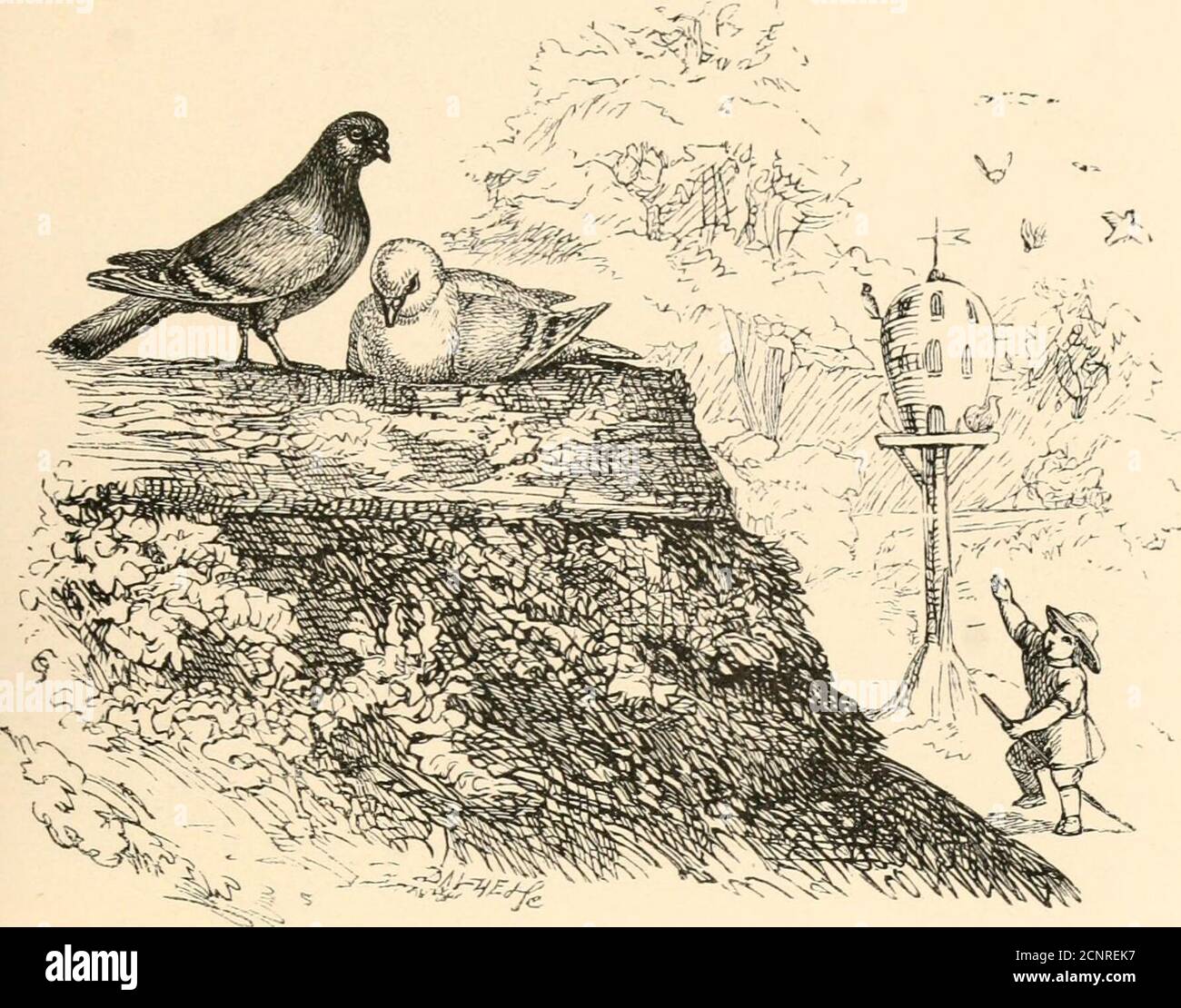 Blithely Picture Example Turning towards the sun hi-res stock photography and images - Alamy