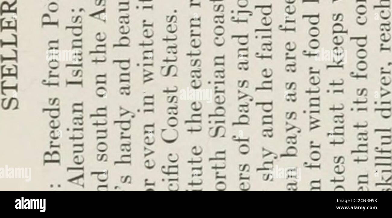 The Book Of Birds Common Birds Of Town And Country And American Game Birds I O A Oi Lt 3m I2 A Z 3 3 J J2