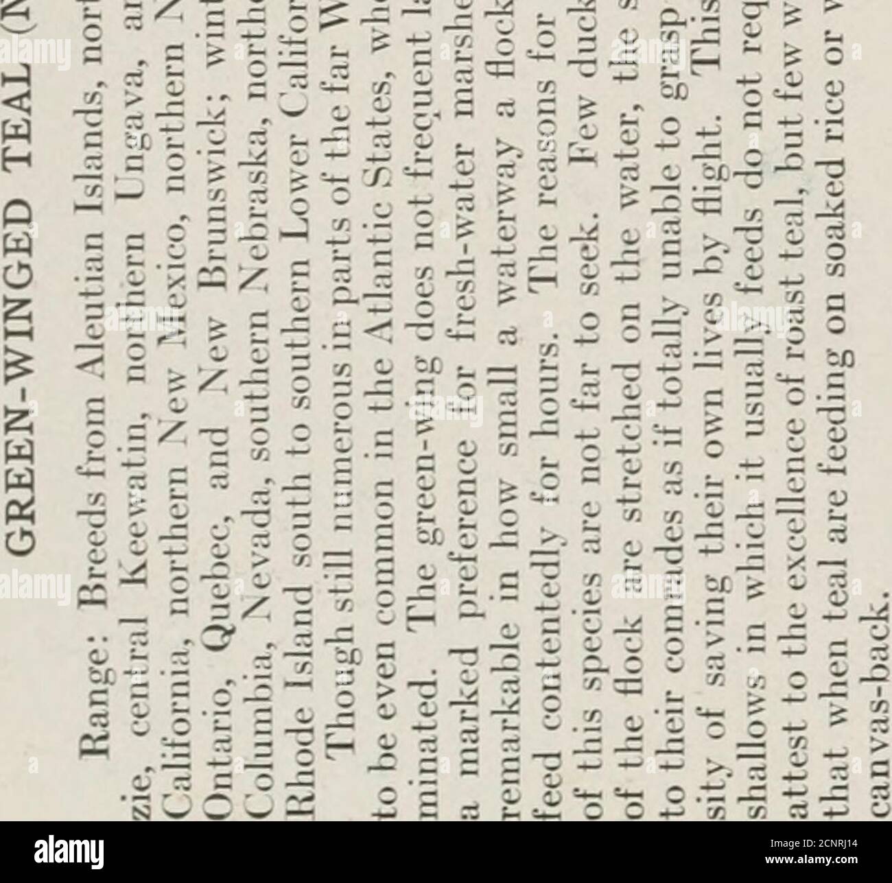 The Book Of Birds Common Birds Of Town And Country And American Game Birds S 3j 3 S Sir Y 2 O G G O T 33 E 2 3