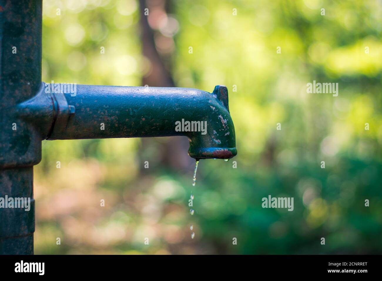 Manual old green and rusty water lever pump with water pouring out of the spout, last drop of water, drought. Blurred green background Stock Photo