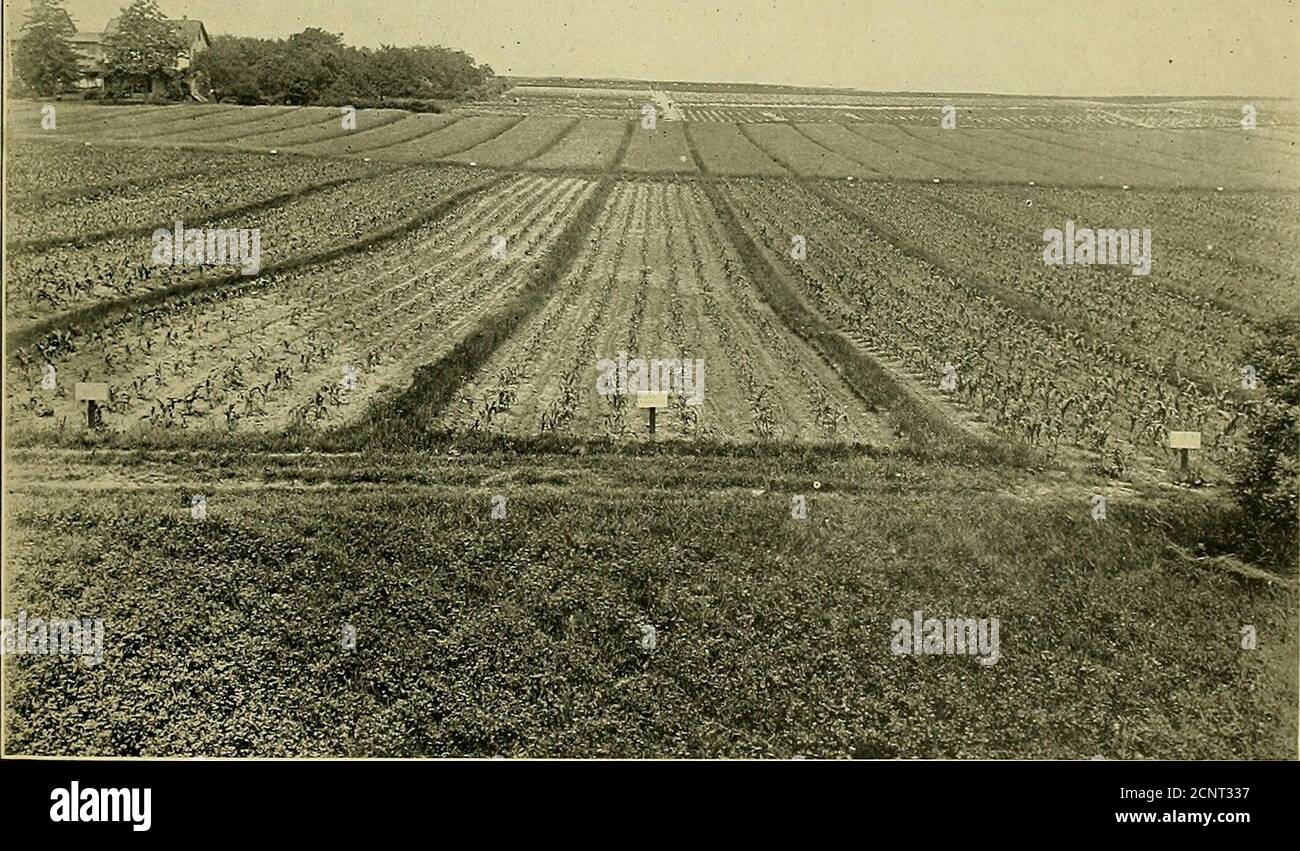 Continuouscropping Hi Res Stock Photography And Images Alamy Continuouscropping Hi Res Stock Photography And Images Alamy