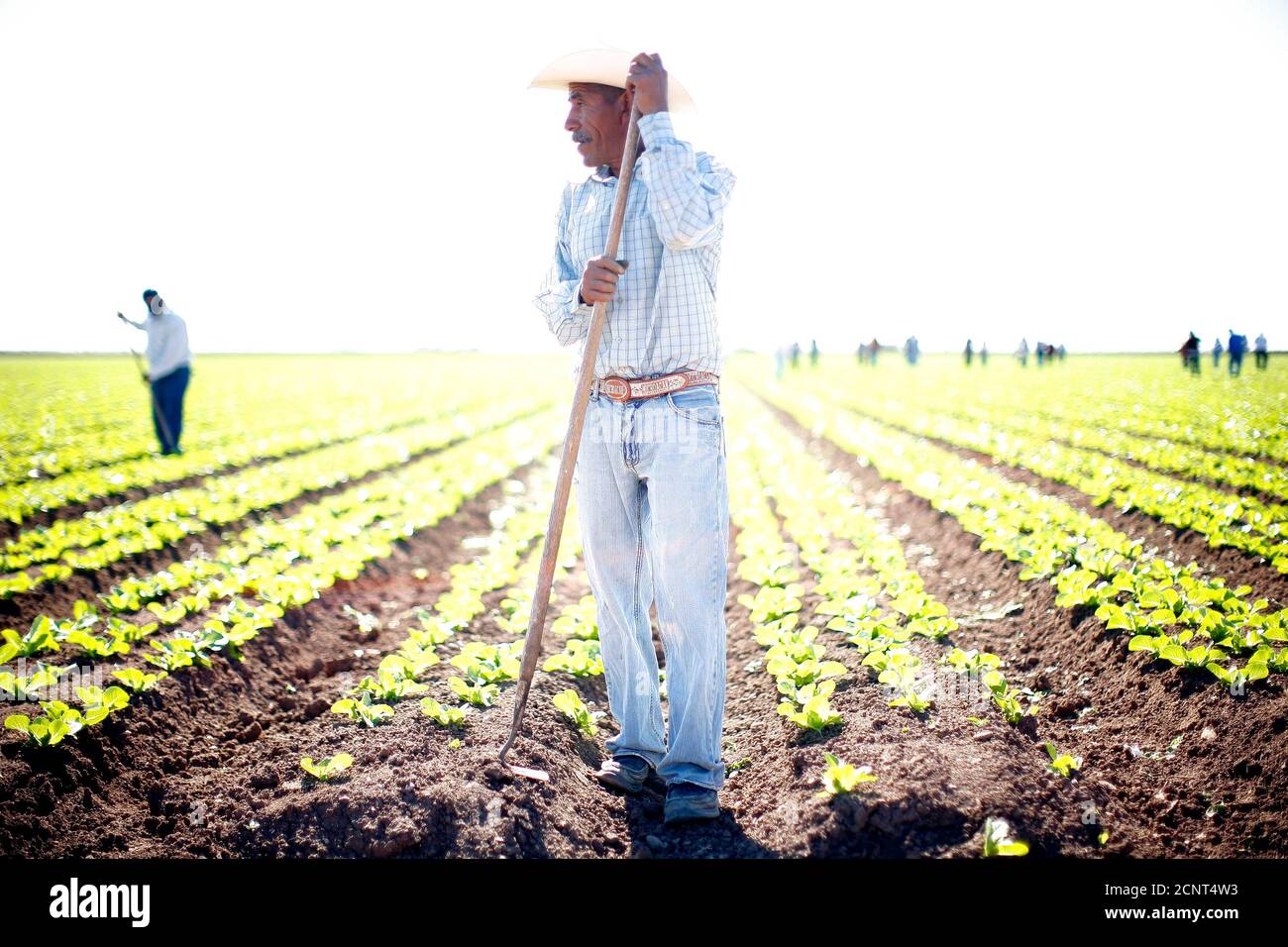 Page 53 Agricultural Society High Resolution Stock Photography And Images Alamy
