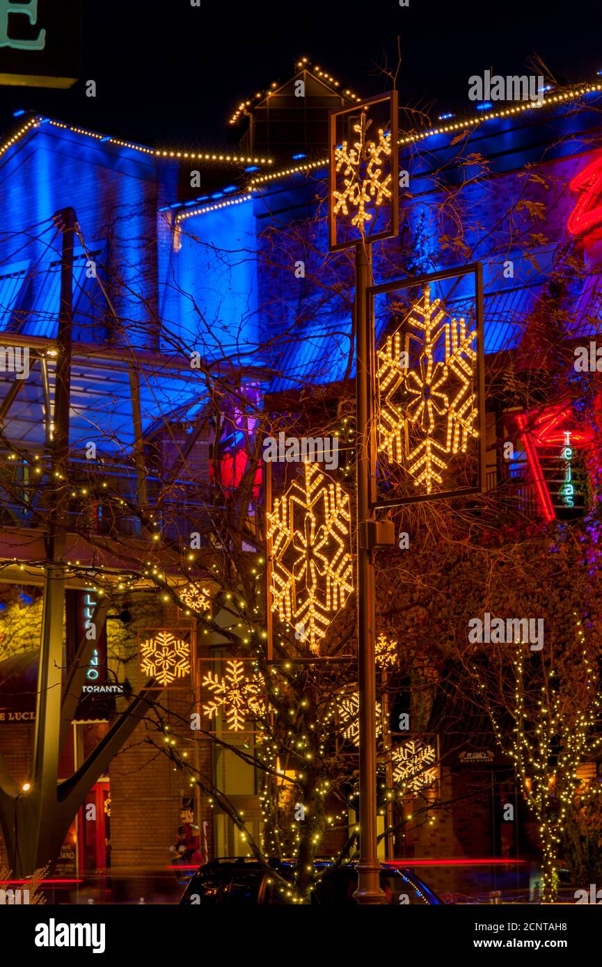 Night photo of the Snowflake Lane holiday decorations at Bellevue