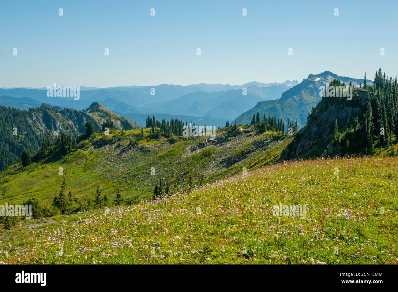 View from the Skyline Trail near Panorama Point of the Tatoosh Range in Mt. Rainier National Park in Washington State, USA. Stock Photo