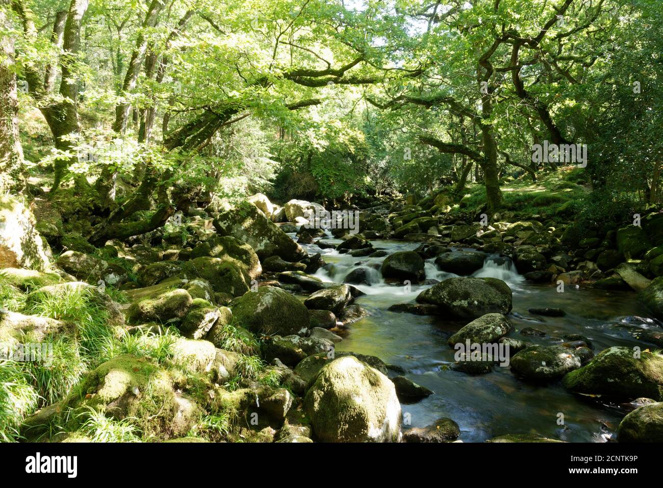 Devon in the West Country of the UK one of the largest and popular Tourist areas Stock Photo
