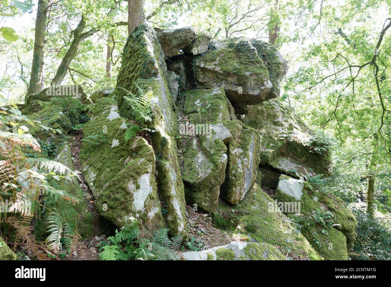 Devon in the West Country of the UK one of the largest and popular Tourist areas Stock Photo