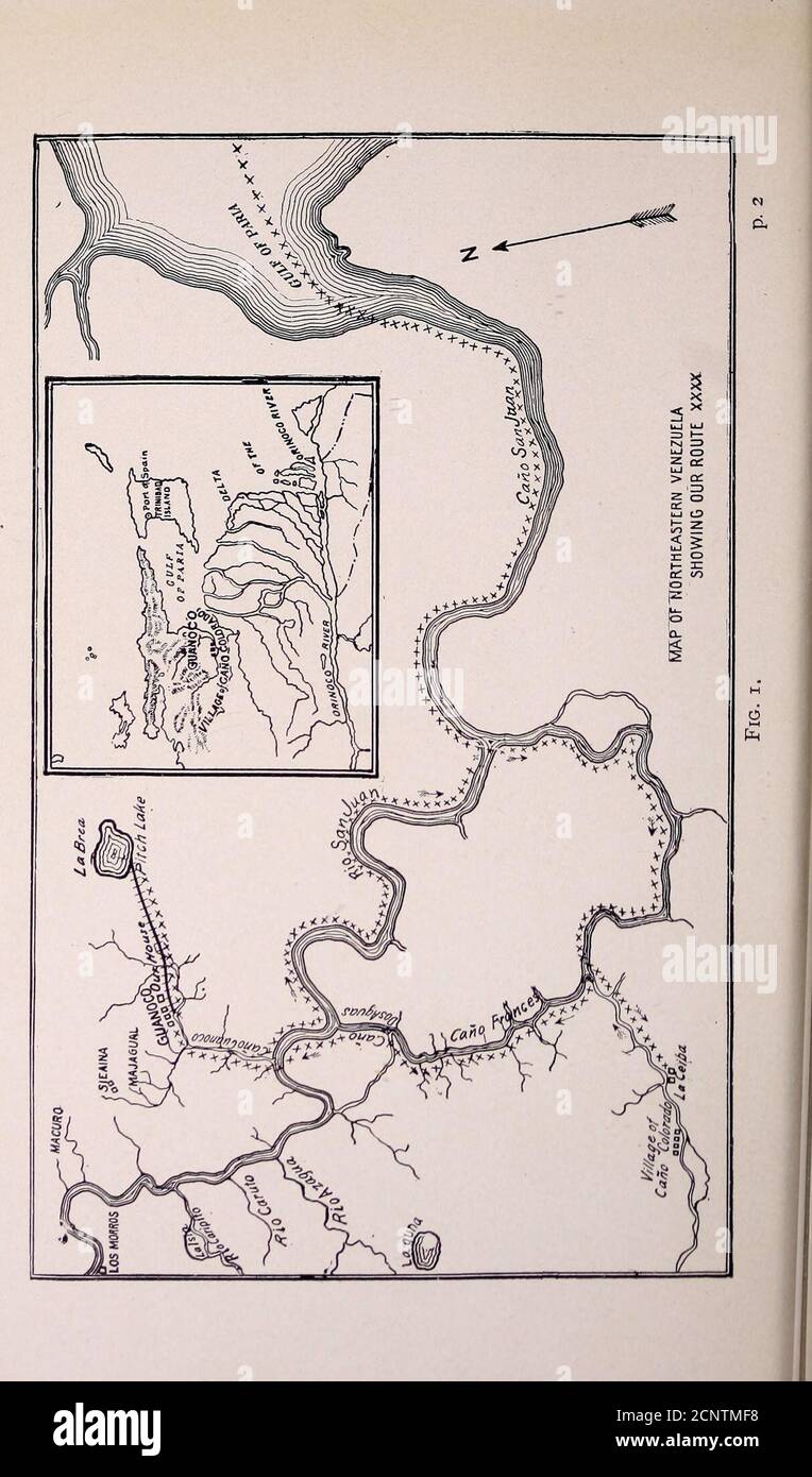 . Our search for a wilderness; an account of two ornithological expeditions to Venezuela and to British Guiana . d Young of Jabiru 354 145. Gray-necked Tree-ducks rising from the Savanna 356 146. Our Bungalow on Abary Island 35& 147. Map of Abary Island 361 148. Abary River, showing High Growth on West Bank 362 149. Spider Lily near Abary Island 3°3 150. Nest of a Hoatzin in the Mucka-mucka on which these Birds feed 366 151. The Author Photographing Hoatzins 3°7 152. (A) Female Hoatzin flushed from her nest; the Male Bird approaching 3^9 153. (B) Female Hoatzin in the same Position, the Male h Stock Photo