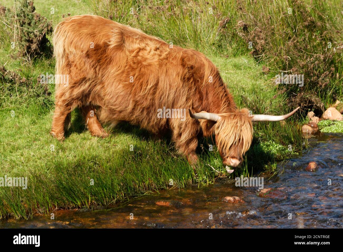 Devon in the West Country of the UK one of the largest and popular Tourist areas Stock Photo