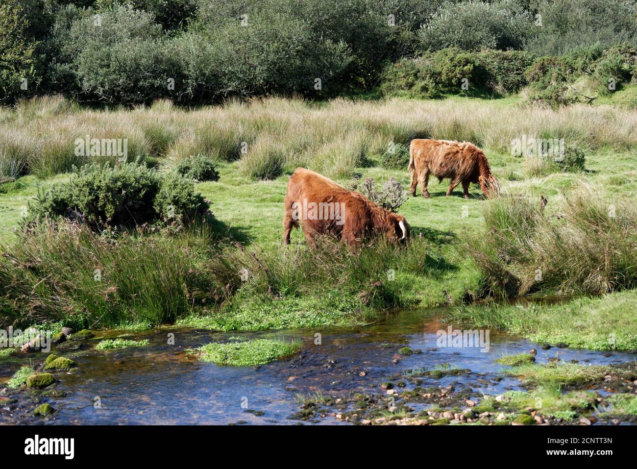 Devon in the West Country of the UK one of the largest and popular Tourist areas Stock Photo