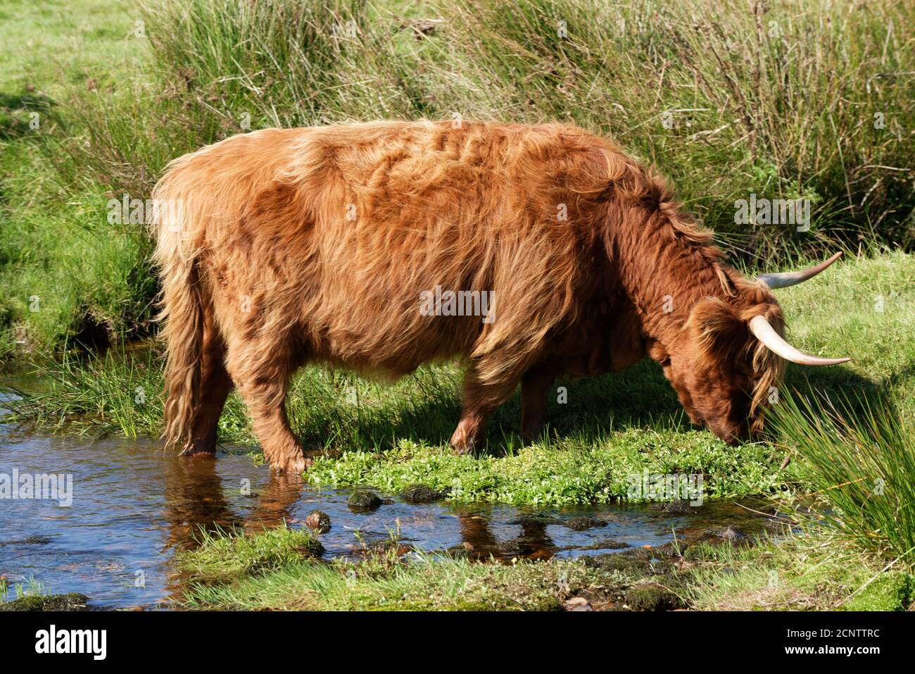 Devon in the West Country of the UK one of the largest and popular Tourist areas Stock Photo