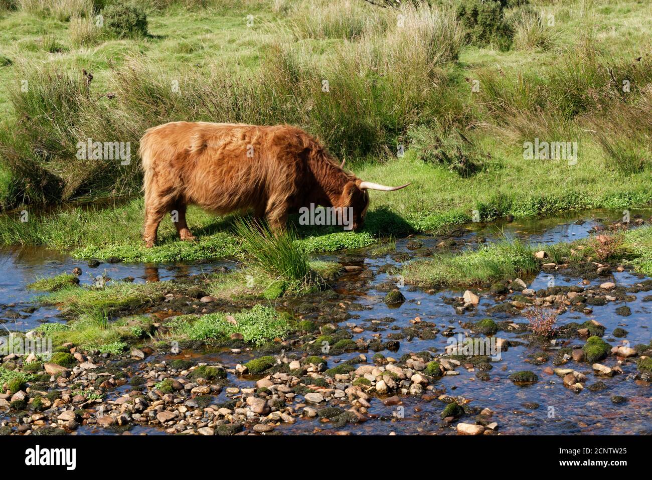 Devon in the West Country of the UK one of the largest and popular Tourist areas Stock Photo