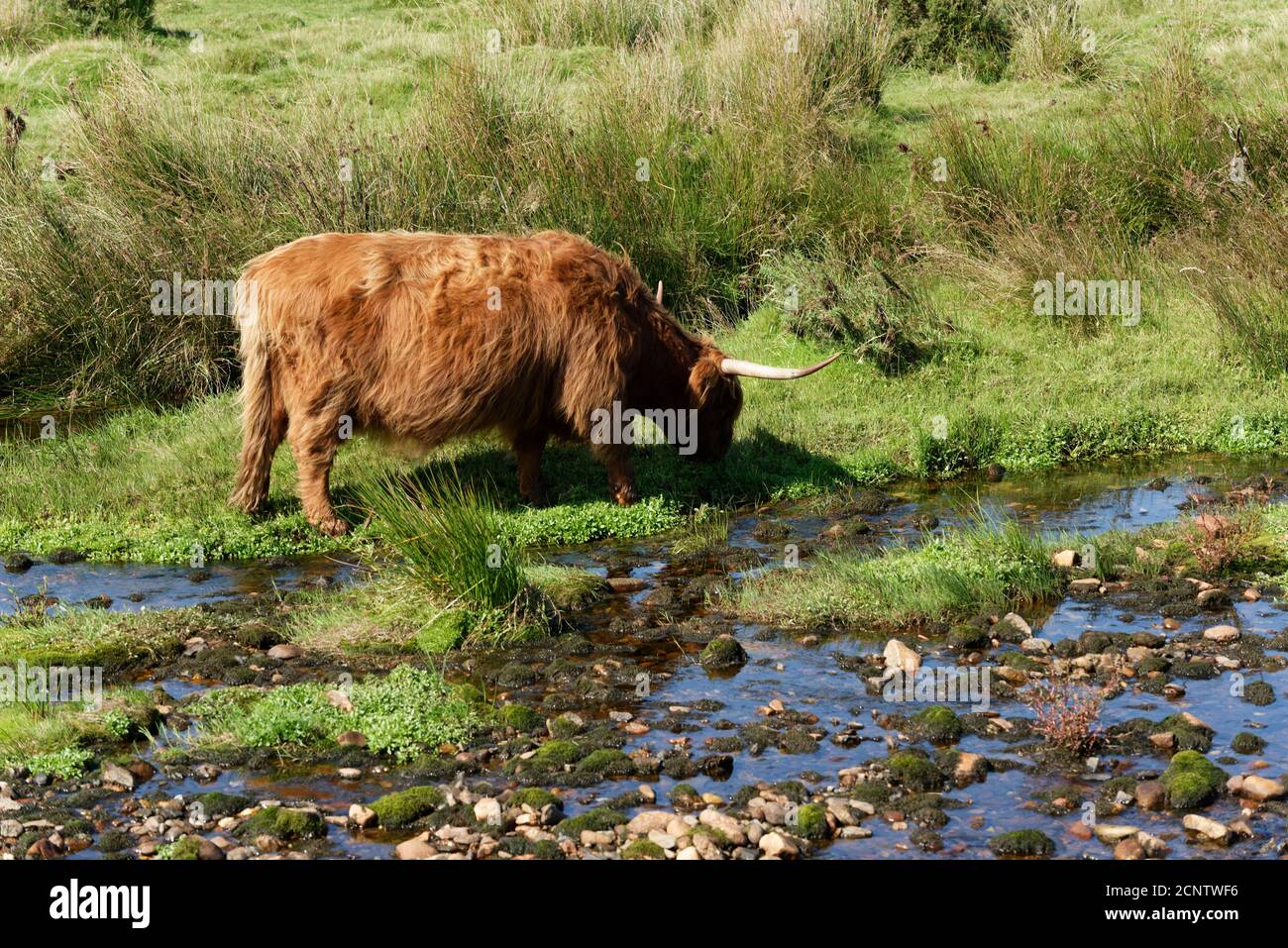 Devon in the West Country of the UK one of the largest and popular Tourist areas Stock Photo