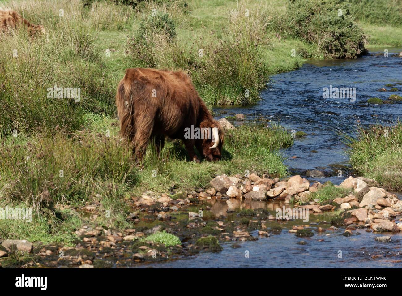 Devon in the West Country of the UK one of the largest and popular Tourist areas Stock Photo