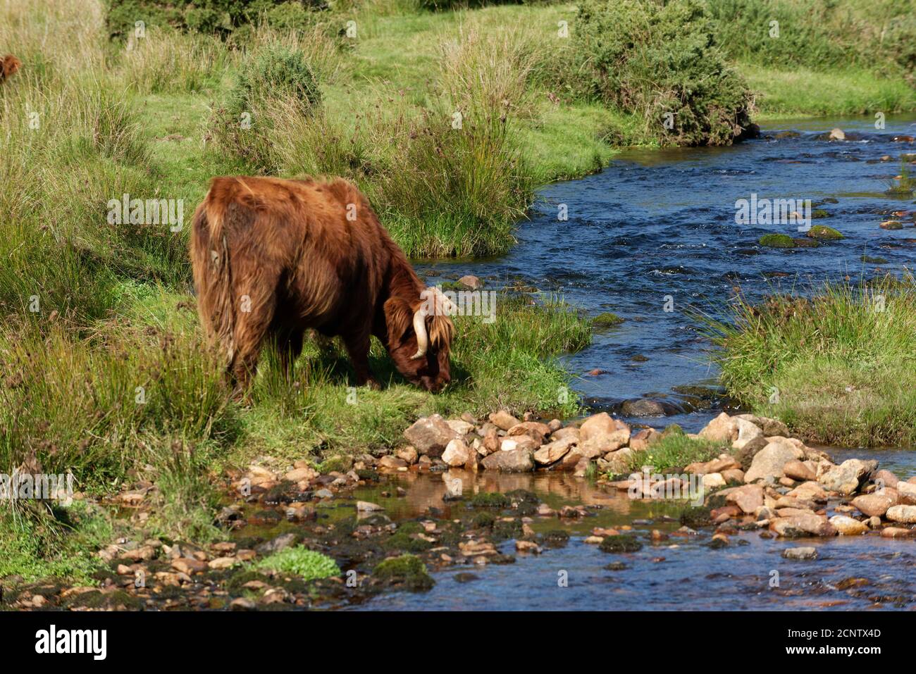 Devon in the West Country of the UK one of the largest and popular Tourist areas Stock Photo