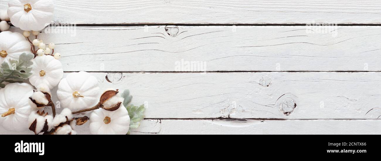 Autumn corner border banner of white pumpkins and silver leaves over a ...