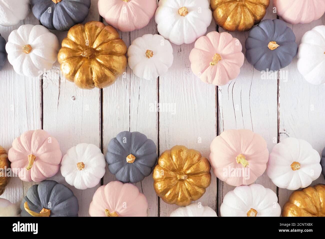 Autumn double border of dusty rose, white, gold and gray pumpkins on a white wood background. Modern muted pastel colors. Top view with copy space. Stock Photo
