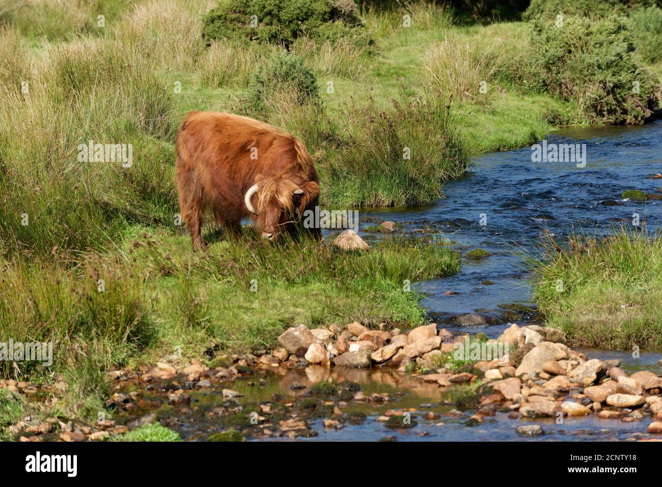 Devon in the West Country of the UK one of the largest and popular Tourist areas Stock Photo