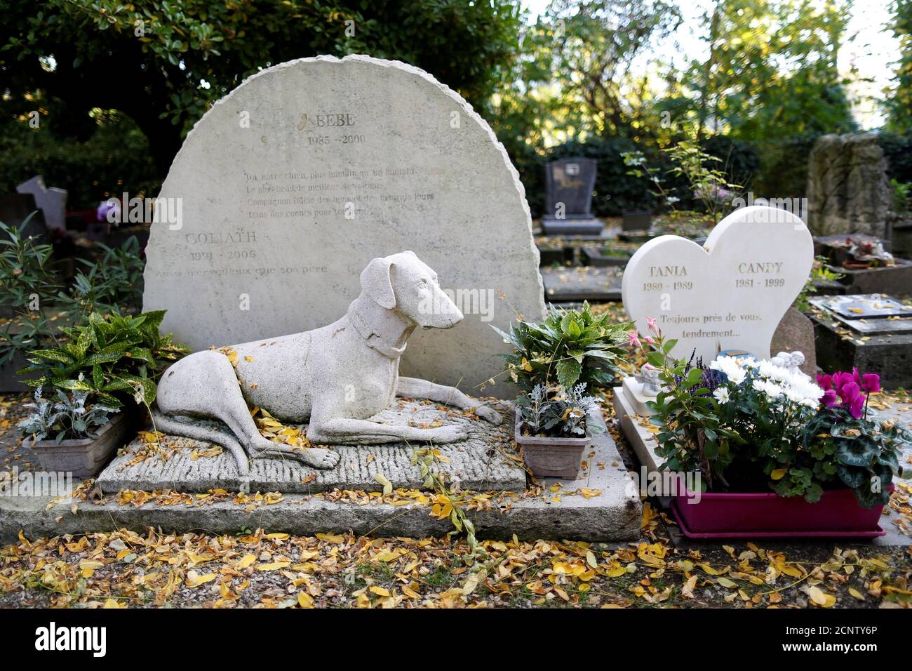 Page 6 Grave Lion High Resolution Stock Photography And Images Alamy