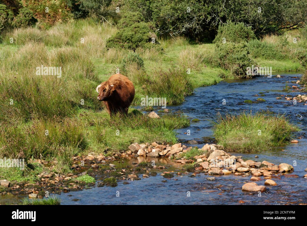 Devon in the West Country of the UK one of the largest and popular Tourist areas Stock Photo