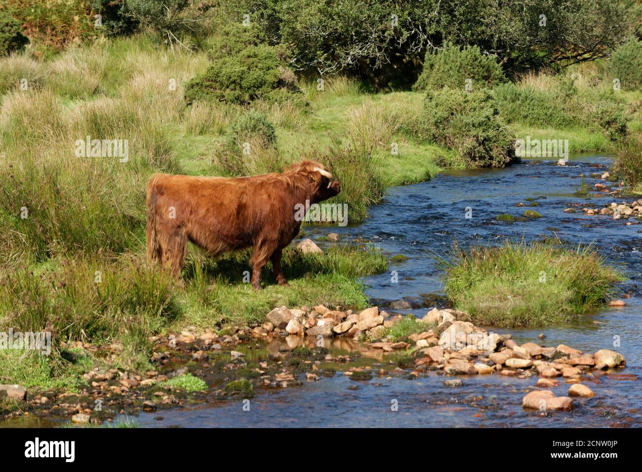 Devon in the West Country of the UK one of the largest and popular Tourist areas Stock Photo