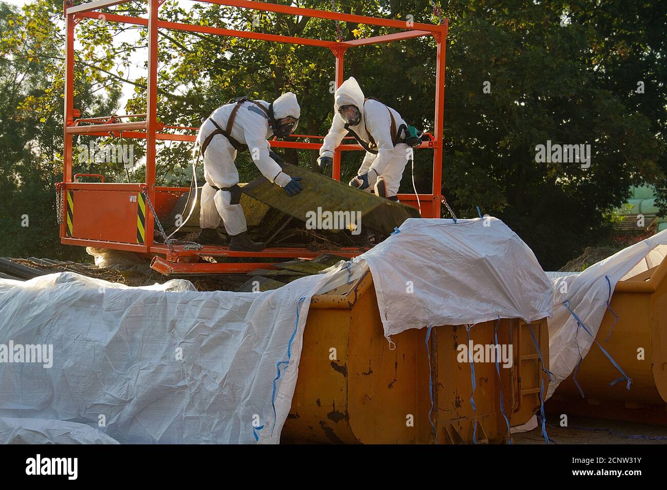 Professional asbestos removal. Two men in protective suits are removing asbestos cement corrugated roofing, bringing it from the roof into a container Stock Photo