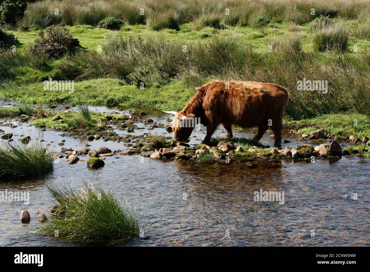 Devon in the West Country of the UK one of the largest and popular Tourist areas Stock Photo